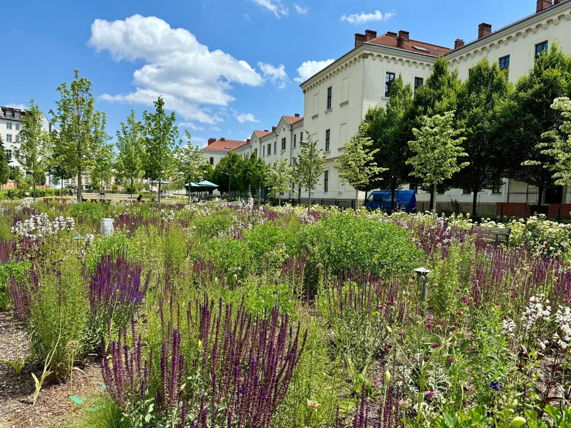Gio Apartments, Luxury, Old Town Cracow Krakow Ngoại thất bức ảnh